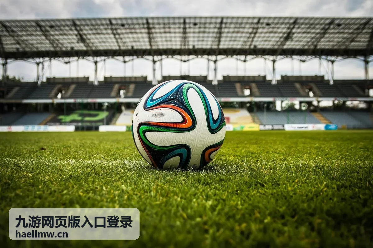 九游网页版入口登录账号安全与验证操作界面示意
